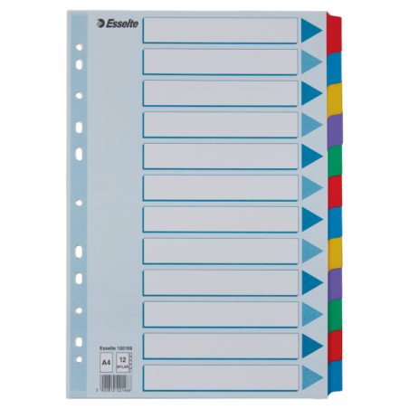 Przekładki, Kolorowy Karton, Karta Opisowa Mylar A4, Esselte, 12 Kart, , 100169