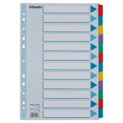 Przekładki, Kolorowy Karton, Karta Opisowa Mylar A4, Esselte, 12 Kart, , 100169