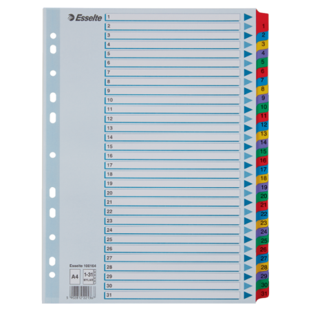 Przekładki Kartonowe Mylar A4 1-31 100164 Białe Esselte
