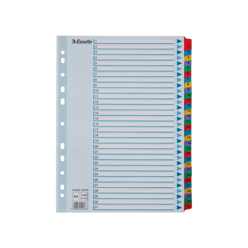 Przekładki Kartonowe Mylar A4 1-31 100164 Białe Esselte