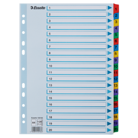 Przekładki Kartonowe Mylar A4 1-20 100163 Białe Esselte