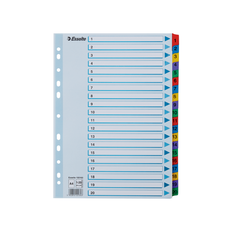 Przekładki Kartonowe Mylar A4 1-20 100163 Białe Esselte