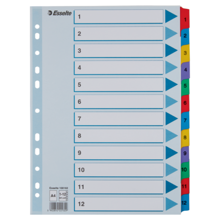 Przekładki Kartonowe Mylar A4 1-12 100162 Białe Esselte