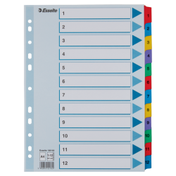Przekładki Kartonowe Mylar A4 1-12 100162 Białe Esselte