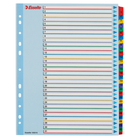 Przekładki Kartonowe Mylar A4 Maxi 1-31 Esselte 100210