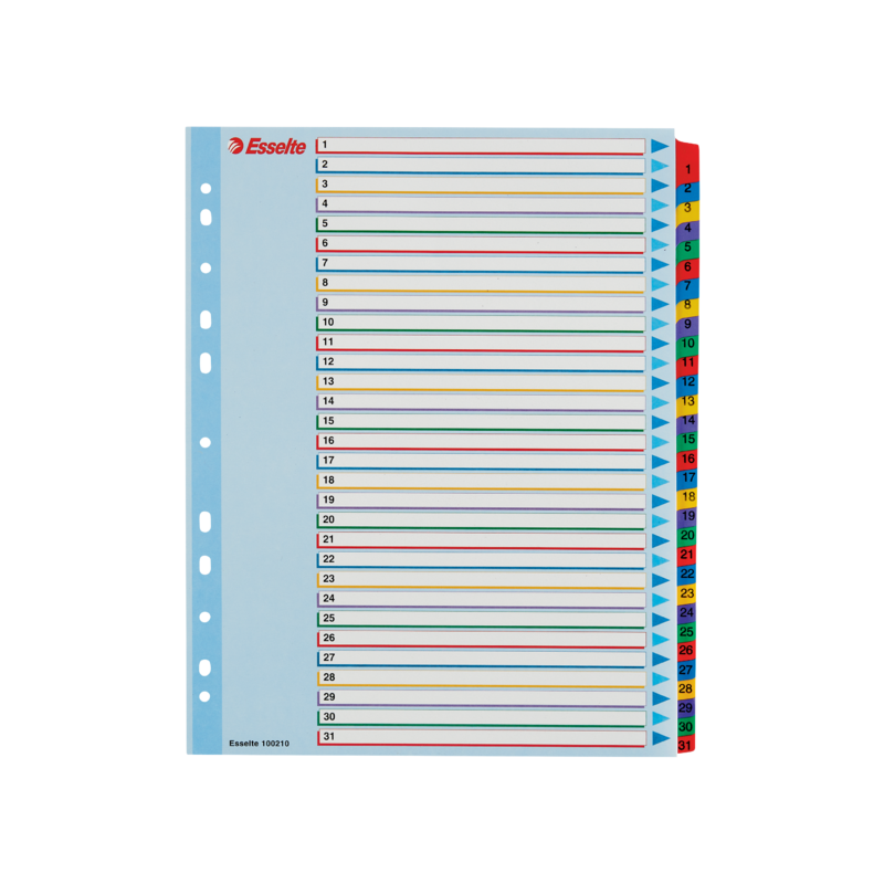 Przekładki Kartonowe Mylar A4 Maxi 1-31 Esselte 100210