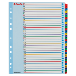 Przekładki Kartonowe Mylar A4 Maxi 1-31 Esselte 100210