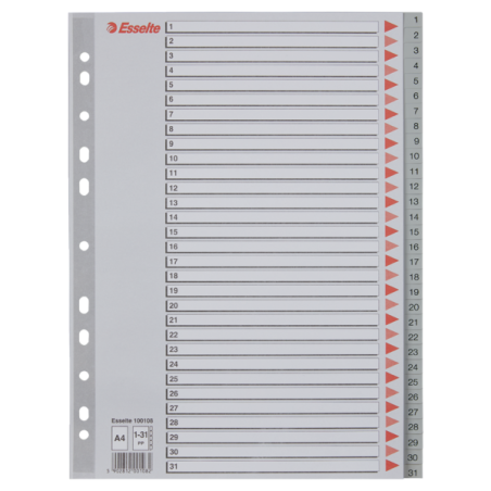Przekładki Plastikowe Szare Pp A4 1-31 100108 Numeryczne Esselte