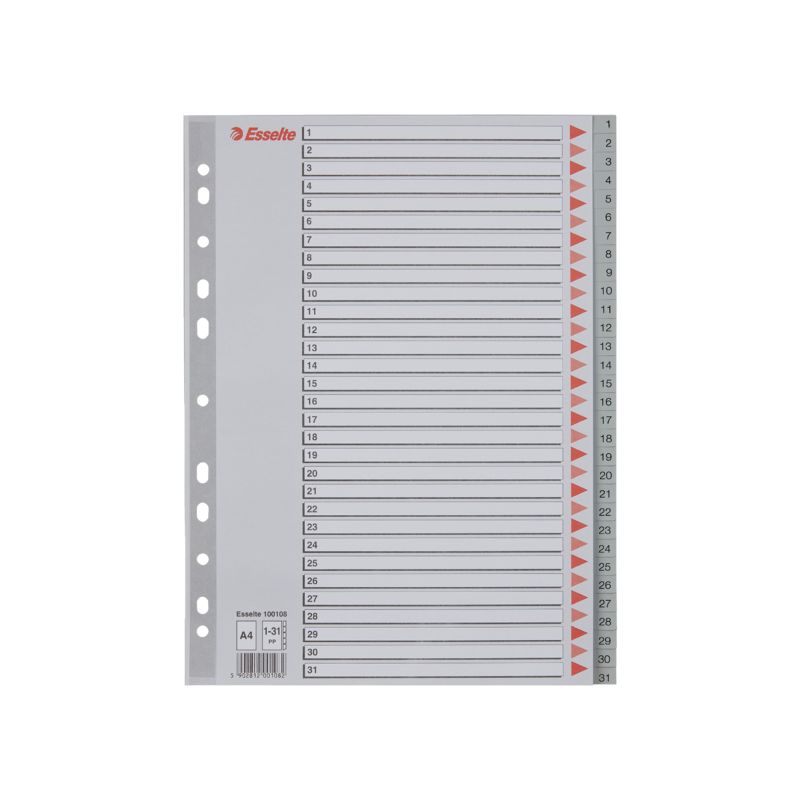 Przekładki Plastikowe Szare Pp A4 1-31 100108 Numeryczne Esselte