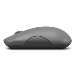 Lenovo 350 Bluetooth Silent Mouse (Luna Grey)