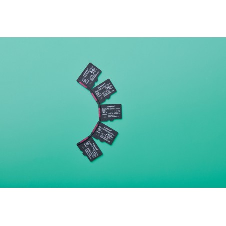 Kingston Microsdxc 64Gb Canvas Select Plus 3 + Adp