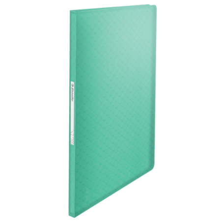 Album Ofertowy Esselte Colourbreeze, Z 60 Koszulkami, Zielony 626233 Esselte