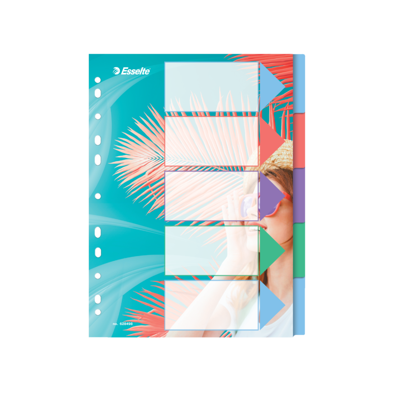 Przekładki Colourbreeze Pp A4, 5 Przekładek Esselte 628498