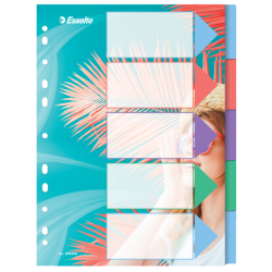 Przekładki Colourbreeze Pp A4, 5 Przekładek Esselte 628498