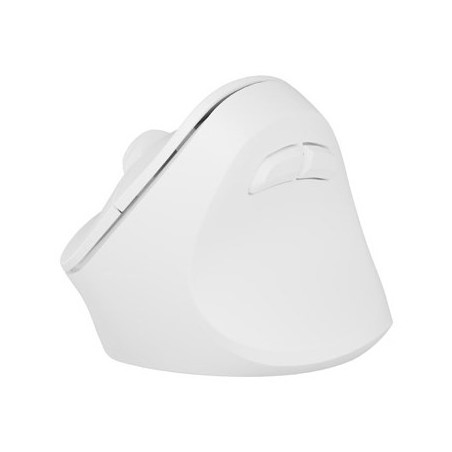 Natec Mysz Wertykalna Crake 2 Bezprzewodowa 2400Dpi Bt 5.2 +2.4Ghz Biała