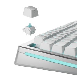 Glorious Gaming Glo-Kb-Acc-Swt-Lynx-Lubed-36 Bez Kategorii