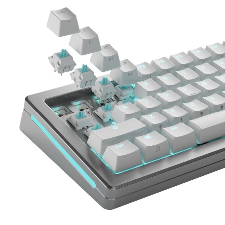 Glorious Gaming Glo-Kb-Acc-Swt-Lynx-Lubed-36 Bez Kategorii
