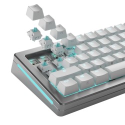 Glorious Gaming Glo-Kb-Acc-Swt-Lynx-Lubed-36 Bez Kategorii