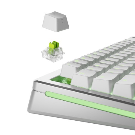 Glorious Gaming Glo-Kb-Acc-Swt-Raptor-He-36 Bez Kategorii