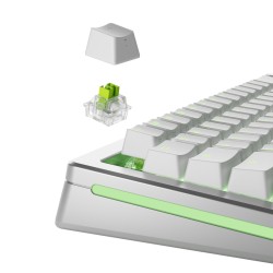 Glorious Gaming Glo-Kb-Acc-Swt-Raptor-He-36 Bez Kategorii