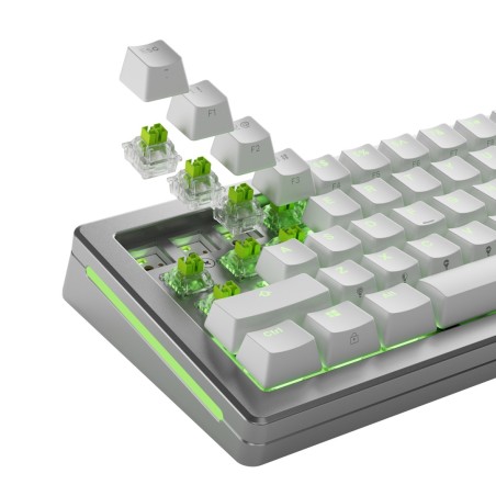 Glorious Gaming Glo-Kb-Acc-Swt-Raptor-He-36 Bez Kategorii