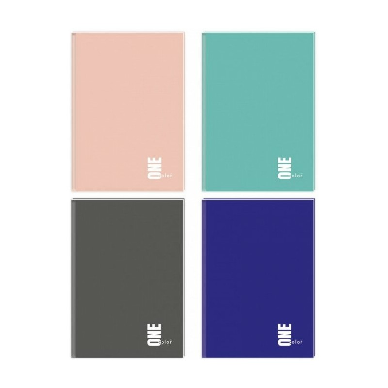Brulion Interdruk One Color A5/96K Kratka