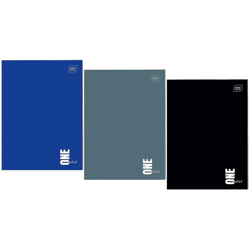 Zeszyt Interdruk One Color A4/96K Kratka