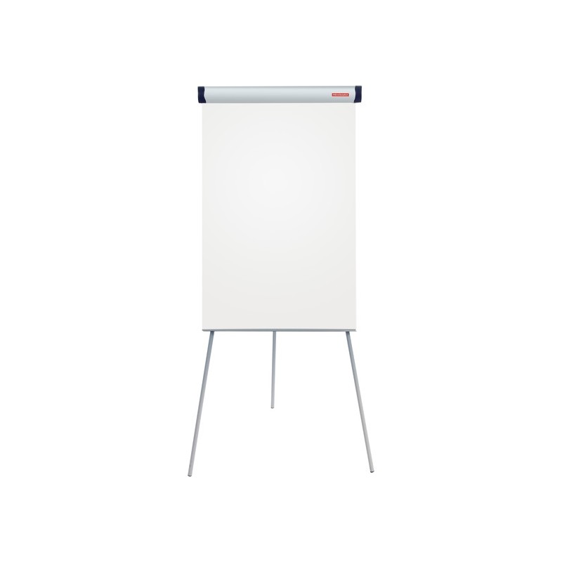 Flipchart Memoboards Professional