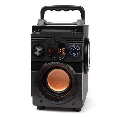 Squeak Głośnik Bassblaster Bluetooth 5.1, Radio Fm, Odtwarzacz Mp3 Sq1001