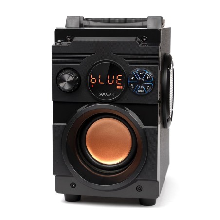 Squeak Głośnik Bassblaster Bluetooth 5.1, Radio Fm, Odtwarzacz Mp3 Sq1001