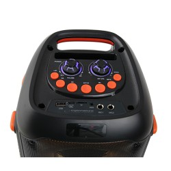 Esperanza Głośnik Bt Fm Led Rgb Karaoke Singer Ep156