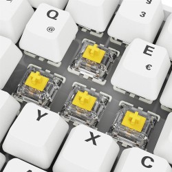 Klawiatura Gamingowa Sharkoon Skiller Sgk50 S4 Gen2 Pbt Wei-Gel Rgb