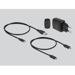 Delock Stacja Dokująca M.2 Dla 2 X M.2 Nvme Pcie Ss