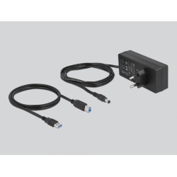Delock Zewnętrzny Usb 3.0 Hub Z 10 Portami I Przełącznikami