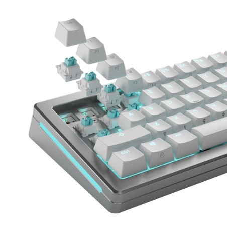 Glorious Gaming Glo-Kb-Acc-Swt-Lynx-He-36 Bez Kategorii