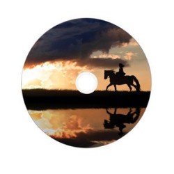 Verbatim 43703 Płyta Dvd 8,5 Gb Dvd-R Dl 50 Szt.