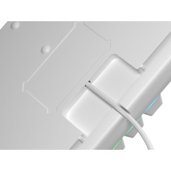 Klawiatura Dla Graczy Genesis Thor 303 Tkl Us Biała Rgb Mechaniczna Silent Switch Hot Swap