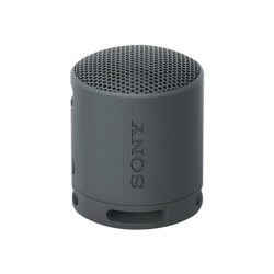 Sony Srs-Xb100 Głośnik Mono Przenośny Czarny