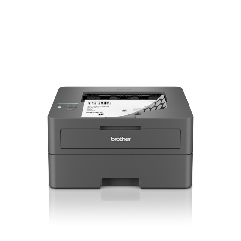 Drukarka Brother Hl-L2445Dw Szary