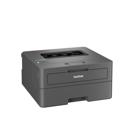 Drukarka Brother Hl-L2445Dw Szary