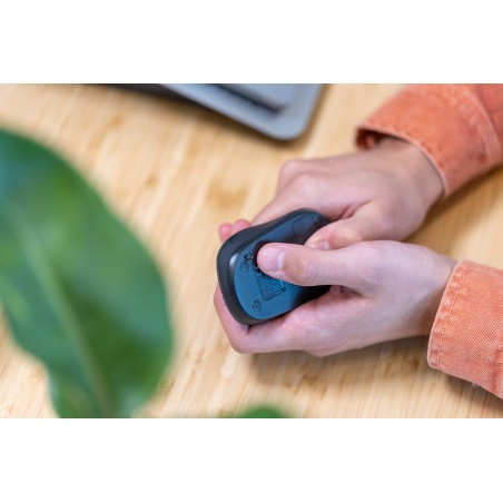 Mysz Trust Primo Wireless Mouse Matt Dark Blue