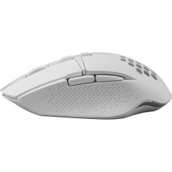 Defender Mysz Gm-514 Glory Optic Rf Rgb 3200Dpi 7P Biała 52513