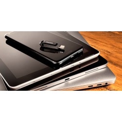 Sandisk Ultra Dual Go 256Gb Typ C