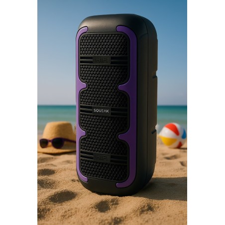 Squeak Głośnik Karaoke Beatone Bluetooth 5.3, 45W Radio Fm, Microsd, Aux, Usb, Usb-C Sq1009