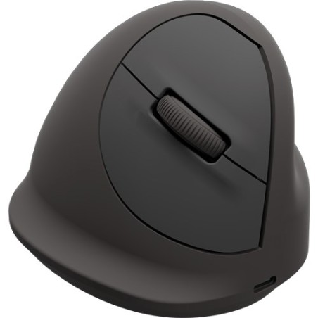 Fellowes 100143584 Myszka Uniwersalne Po Lewej Stronie Bluetooth + Usb Type-C Optyczny 2400 Dpi