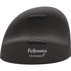 Fellowes 100143583 Myszka Uniwersalne Po Lewej Stronie Bluetooth + Usb Type-C Optyczny 2400 Dpi