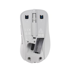 Asus Wireless Mouse Md102 Myszka Uniwersalne Po Prawej Stronie Rf Wireless + Bluetooth Optyczny 1600 Dpi