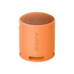 Sony | Głośnik | Głośnik Srs-Xb100 | Wodoodporny | Łączność Bluetooth | Jasnoszary | Przenośny | Połączenie Bezprzewodowe