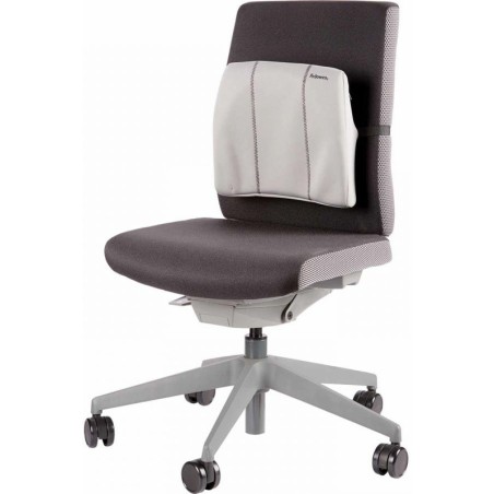 Podpórka Pod Plecy Fellowes Slimline