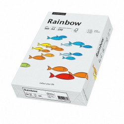 Papier Xero Kolorowy  A4 160G 250 Ark. Rainbow R93 Jasnoszary 88042791/84 (X)